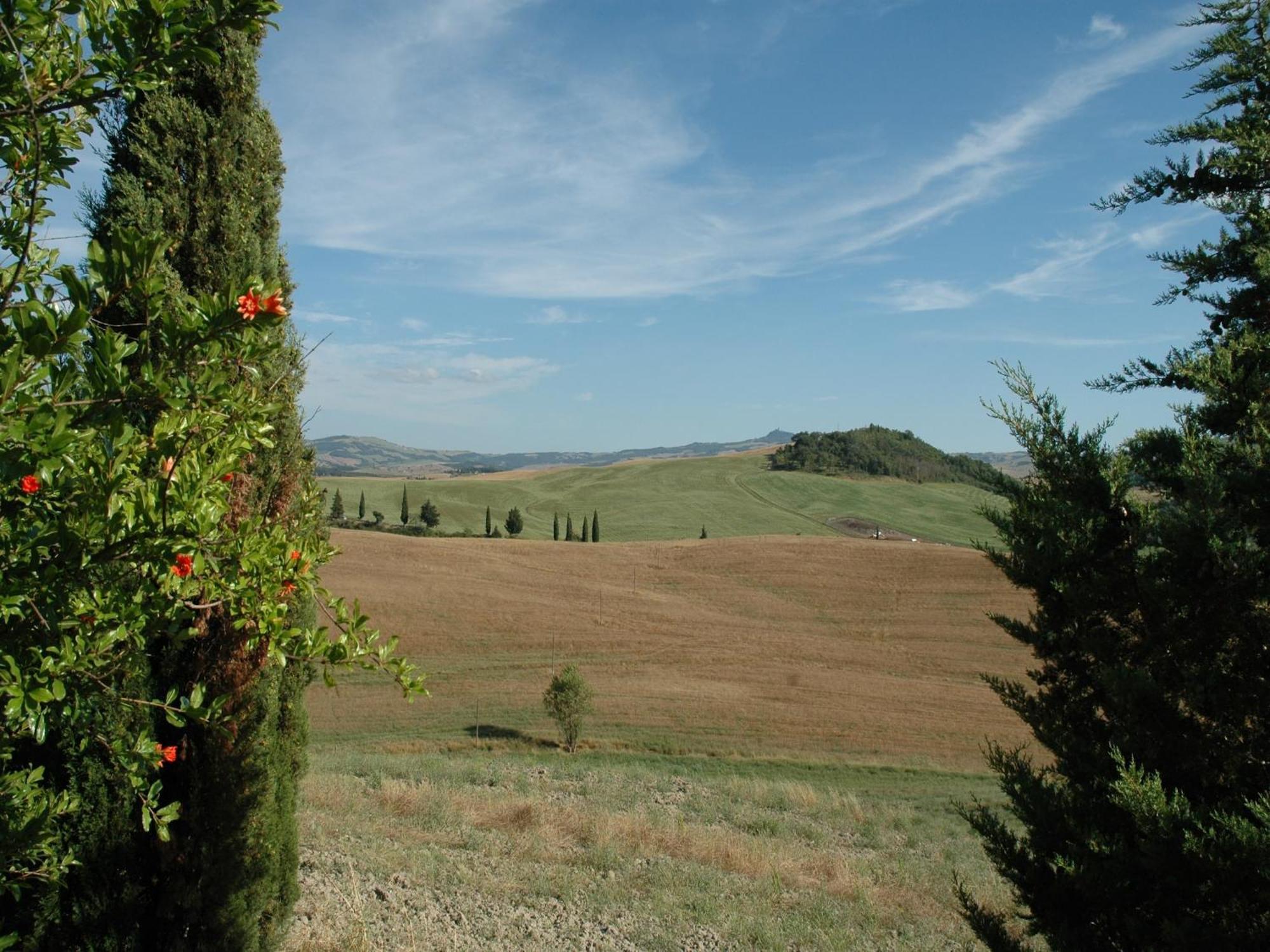 Modern Farmhouse In Pienza With Pool Eksteriør bilde